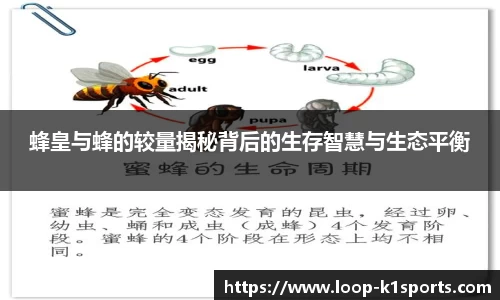蜂皇与蜂的较量揭秘背后的生存智慧与生态平衡